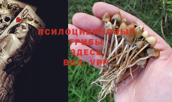 mdpv Баксан