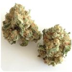 Шишки "White Widow"  (Белая вдова)  Гидропоника -  Бошка VHQ в Боброве